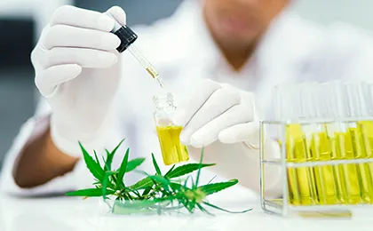 ハス胎座エキスイメージ